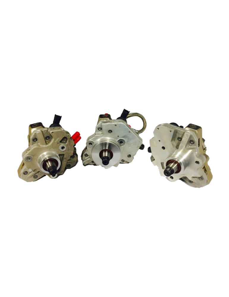 Exergy Sportsman CP3